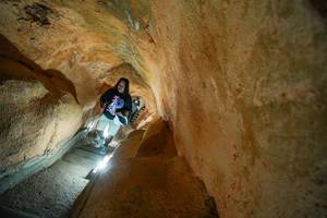 BIB: 
                            <button type="button" onclick="openModal(26229349)" class="btn btn-primary btn-sm float-right btn-popup" data-toggle="modal" data-target=".modal-high-quality">
                        <i class="fas fa-shopping-cart"></i> Add to Cart
                    </button>
                                            <button type="button" onclick="isThisMe(26229349, true)" class="btn btn-success btn-sm float-right btn-popup btn-isme hidden" data-toggle="tooltip" data-placement="bottom" title="นี่คือรูปของคุณใช่ไหม คลิกที่นี่เพื่อเอาเข้าอัลบั้ม">
                        <i class="fas fa-plus"></i> Add to album
                    </button>
                    <button type="button" onclick="isThisMe(26229349, false)" class="btn btn-warning btn-sm float-right btn-popup btn-isnotme hidden">
                        <i class="fas fa-ban"></i> Remove from album
                    </button>